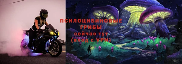 сатива Алексеевка