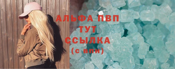 мдпв Инсар