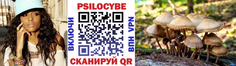 купить наркотик Саки Галлюциногенные грибы прущие грибы
